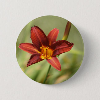 African Lily Badge
