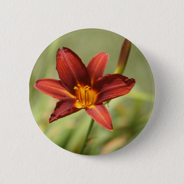 African Lily Badge (Front)