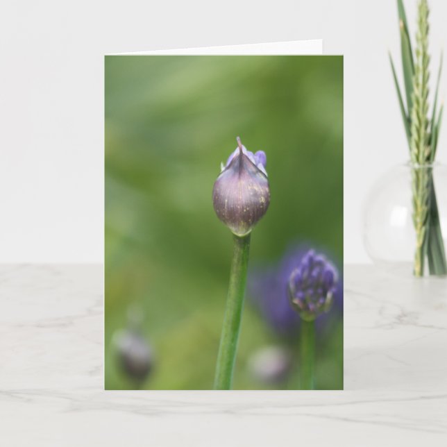 African Lily card (Front)