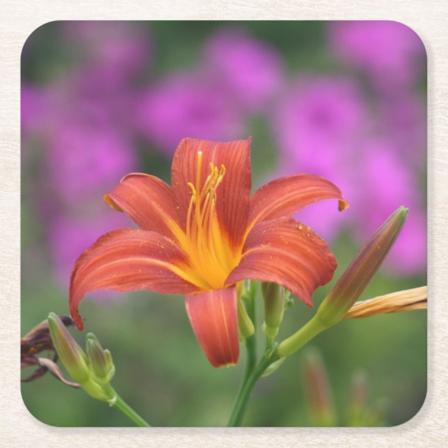 African Lily coaster (Front)
