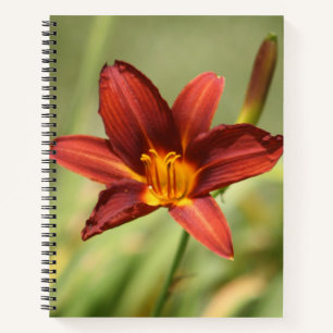 African Lily Notebook