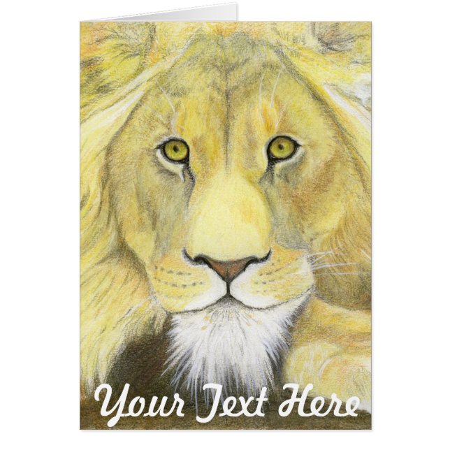 African Lion (Front)