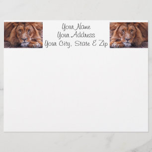 African Lion