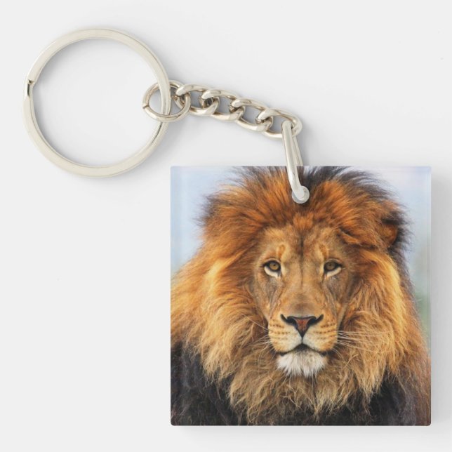 African Lion 1 Key Ring (Front)