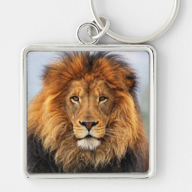 African Lion 1 Key Ring (Front)