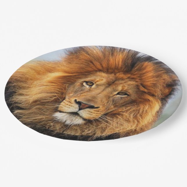 African Lion 1 Paper Plate (Angled)