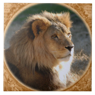 African Lion 6775e11x11fram-b Ceramic Tile