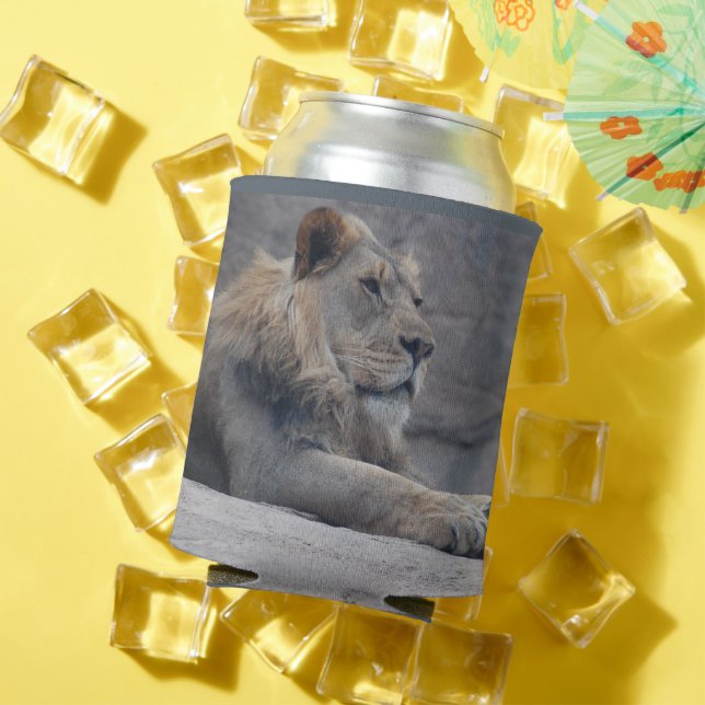 African Lion Can Cooler (In Situ Summer)