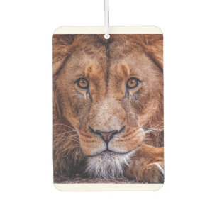 African Lion Car Air Freshener