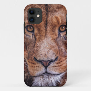 African Lion iPhone 11 Case