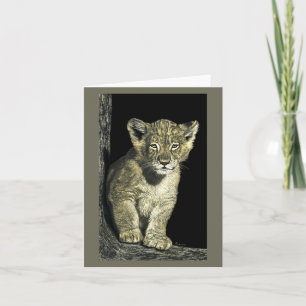 African Lion Cub Card - "Little King"