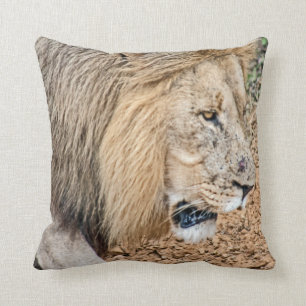 African Lion Cushion