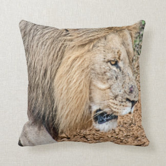 African Lion Cushion