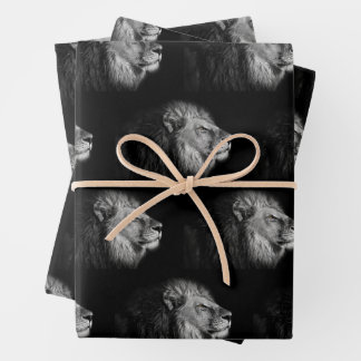 African Lion designed Wrapping Paper