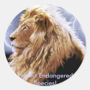 African Lion Endangered Species Series Classic Round Sticker