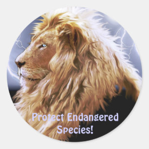 African Lion Endangered Species Wildlife Stickers