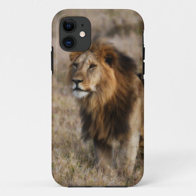 African Lion in Grass Case-Mate iPhone Case (Back)
