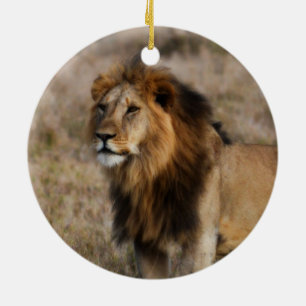 African Lion in Grass Ceramic Ornament