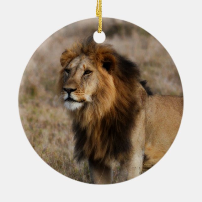 African Lion in Grass Ceramic Ornament (Back)