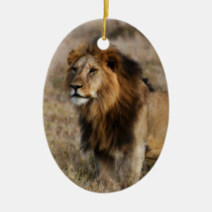 African Lion in Grass Ceramic Tree Decoration