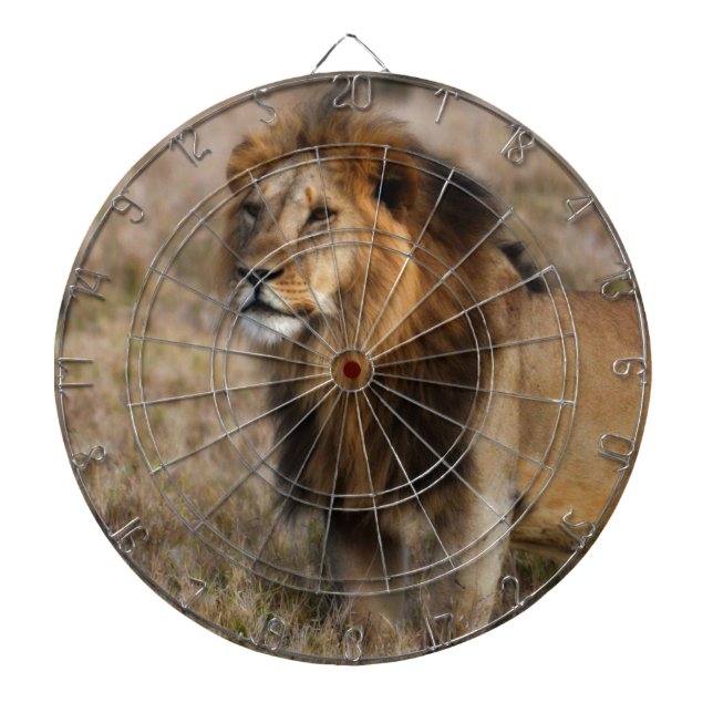 African Lion in Grass Dartboard (Front)