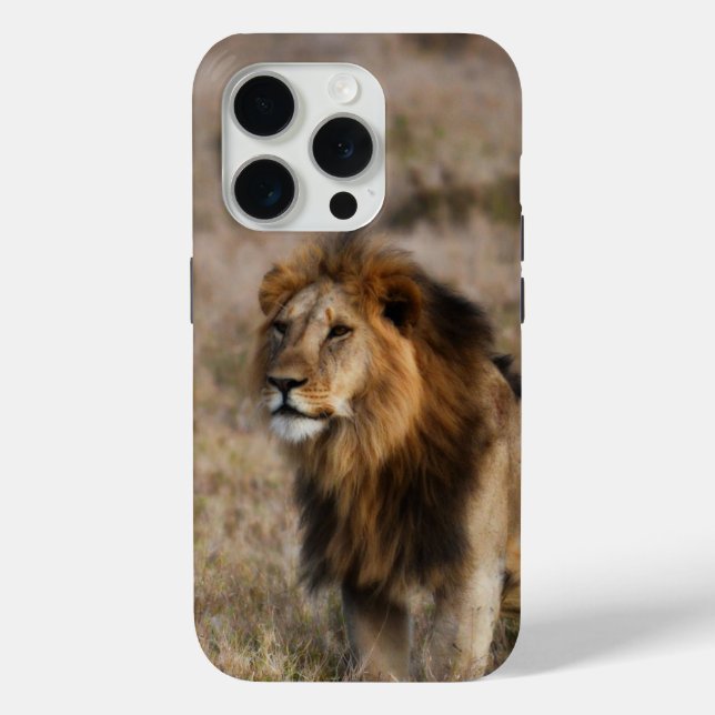 African Lion in Grass iPhone 7 Case (Back)