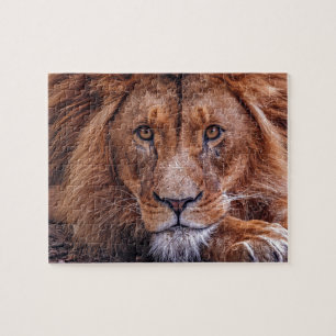 African Lion Jigsaw Puzzle