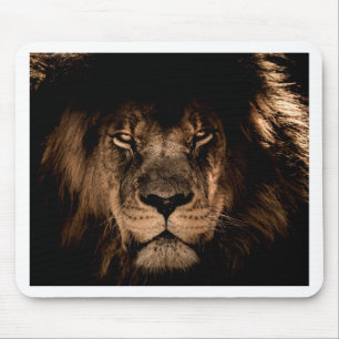 african lion mane close eyes mouse pad