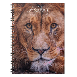 African Lion Notebook