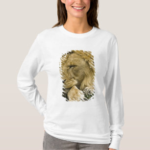 African Lion, Panthera leo, laying down asleep T-Shirt