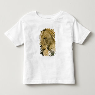 African Lion, Panthera leo, laying down asleep Toddler T-Shirt