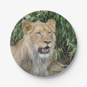 African Lion Paper Plate