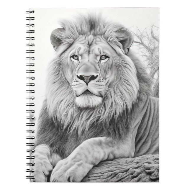 African Lion Pencil Drawing   Notebook (Front)