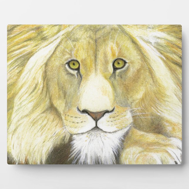 African Lion Plaque (Front)