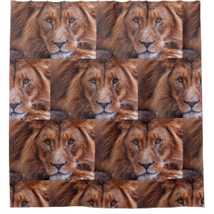 African Lion Shower Curtain