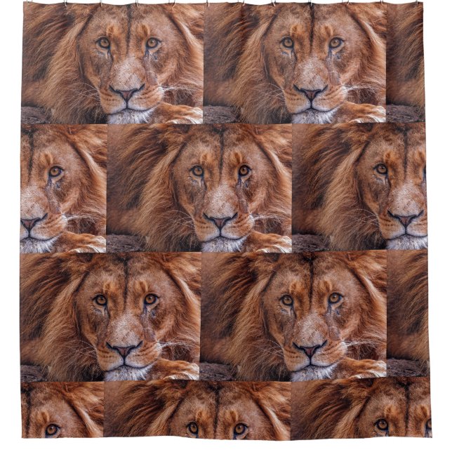 African Lion Shower Curtain (Front)