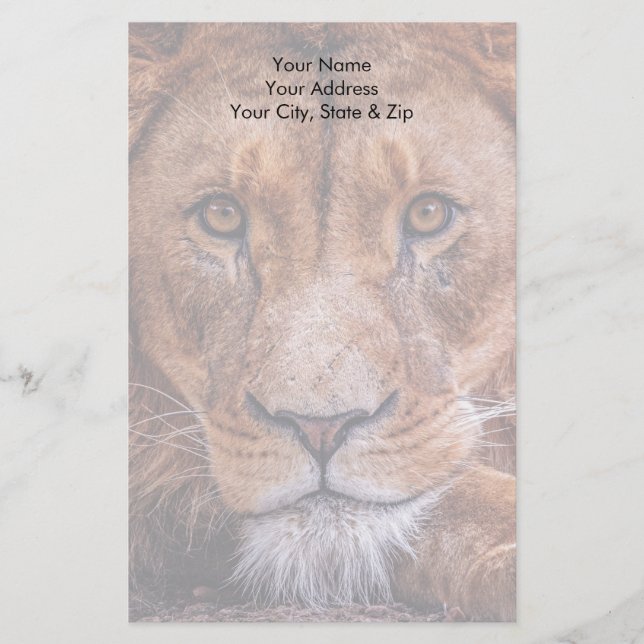 African Lion Stationery (Front)
