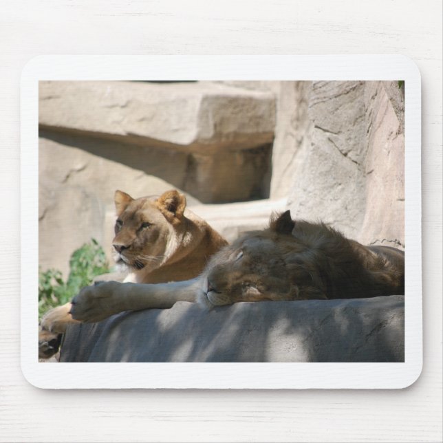 African Lions Mouse Pad (Front)