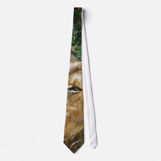 African male lion designer ties (Front)