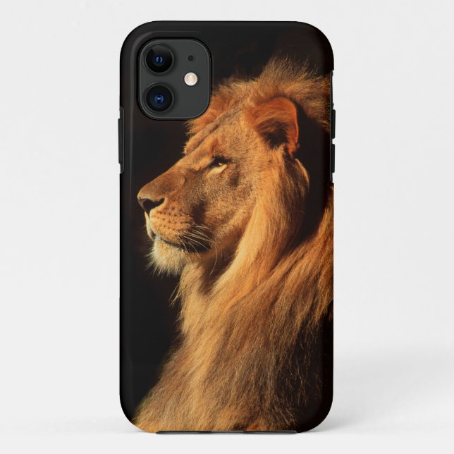 African Male Lion iphone Case by Steven Holt (Back)