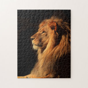 African Male Lion; Wildlife Puzzles by Steven Holt