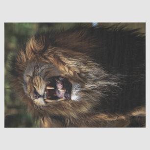 African Male Roaring Lion Oil Painting Tissue Paper