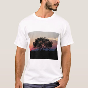 African Marula Tree at Sunset T-Shirt