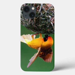 African Masked-Weaver (Ploceus Velatus) iPhone 13 Case