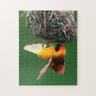 African Masked-Weaver (Ploceus Velatus) Jigsaw Puzzle