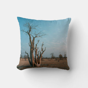 African Moringo Tree On Plain, Etosha National Cushion
