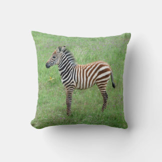 African Ngorongoro Baby Zebra Cushion