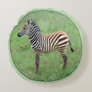 African Ngorongoro Baby Zebra Round Cushion
