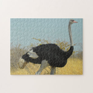 African Ostrige Jigsaw Puzzle