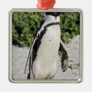 African Penguin, formerly known as Jackass Metal Tree Decoration